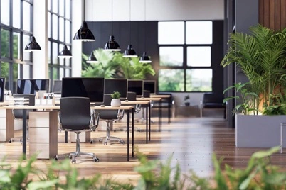 Startups & Limited Companies